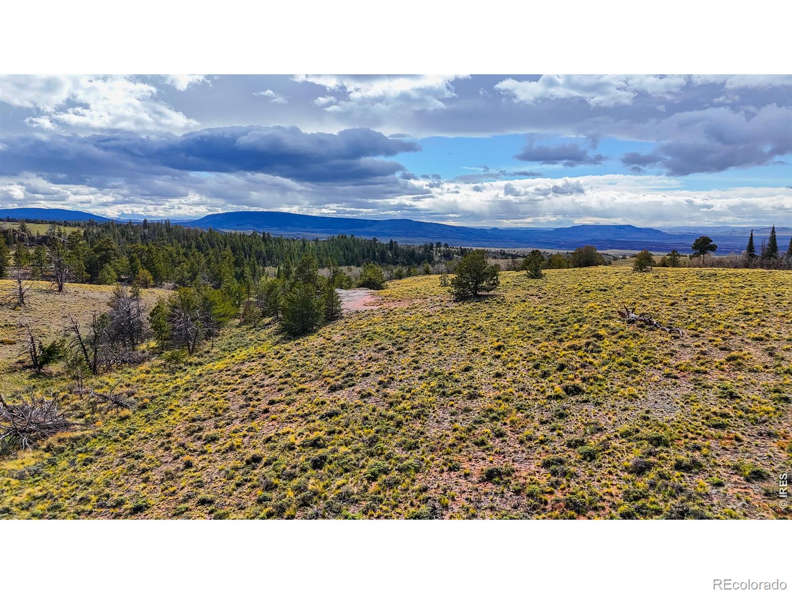 0 Laramie Overlook Roads Livermore CO 80536