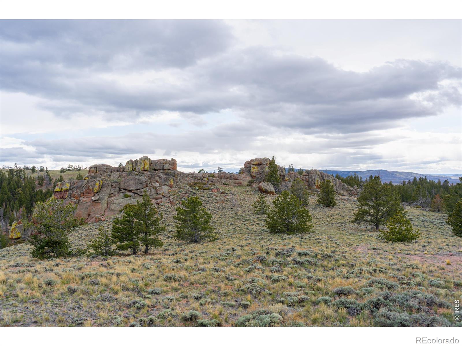 0 Laramie Overlook Roads Livermore CO 80536