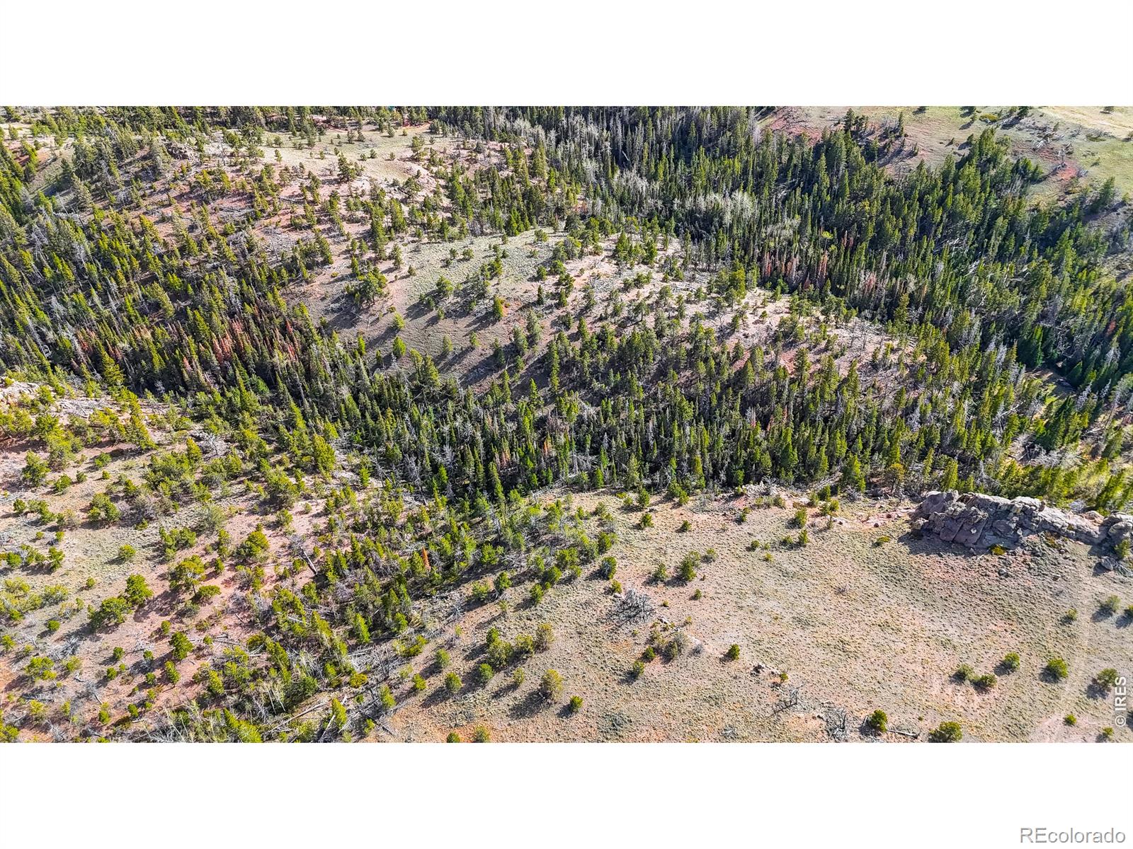 0 Laramie Overlook Roads Livermore CO 80536