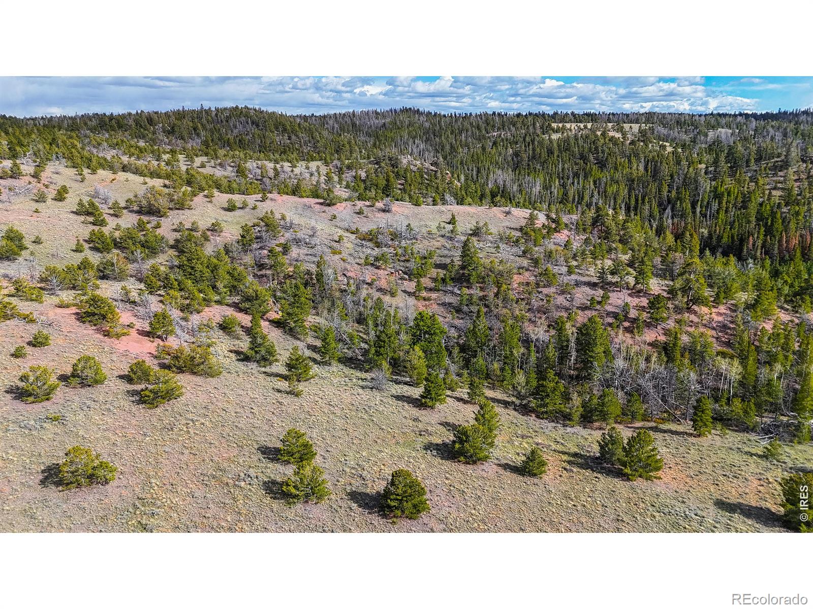 0 Laramie Overlook Roads Livermore CO 80536