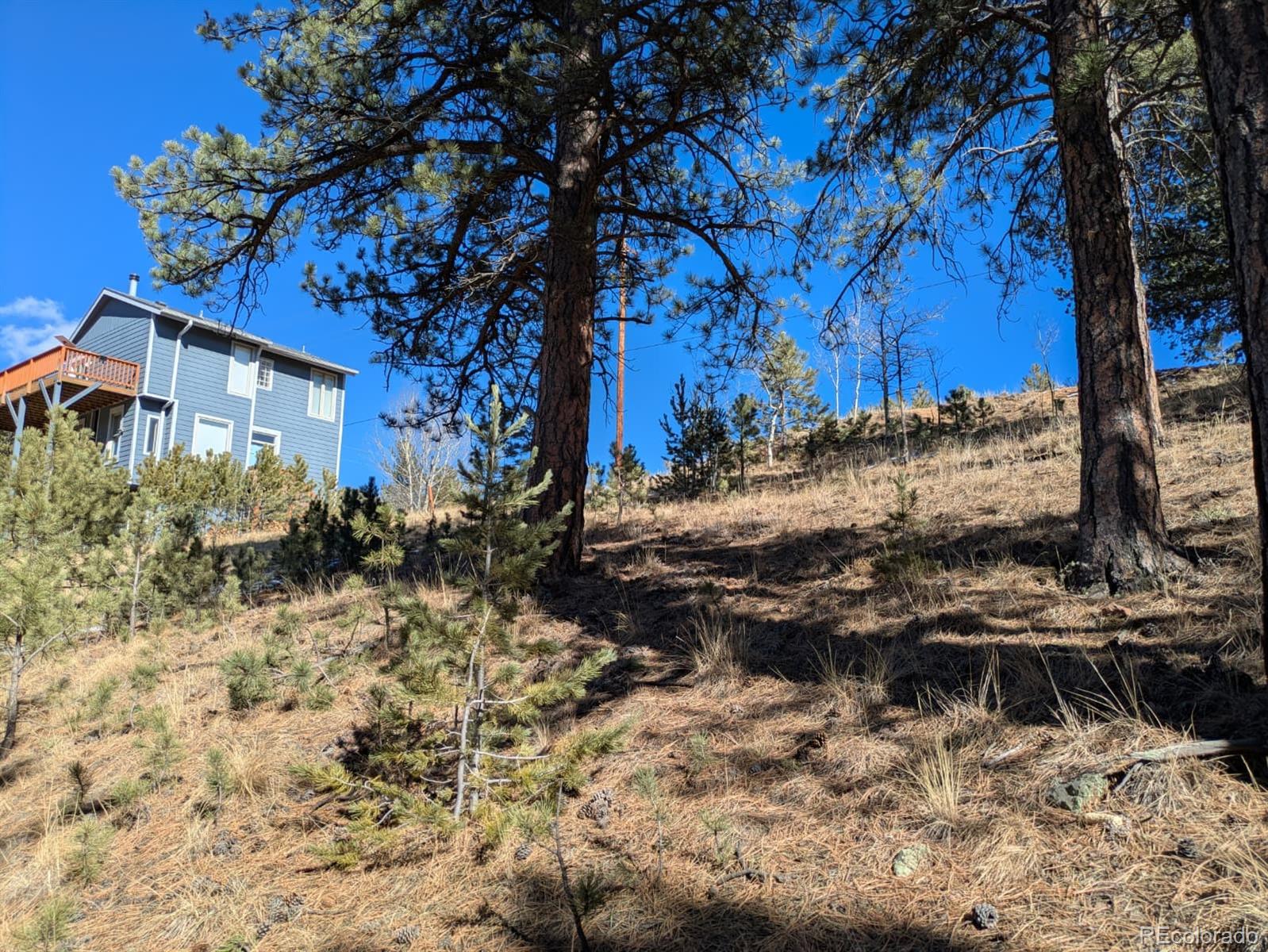 261 Appleby Street Bailey CO 80421