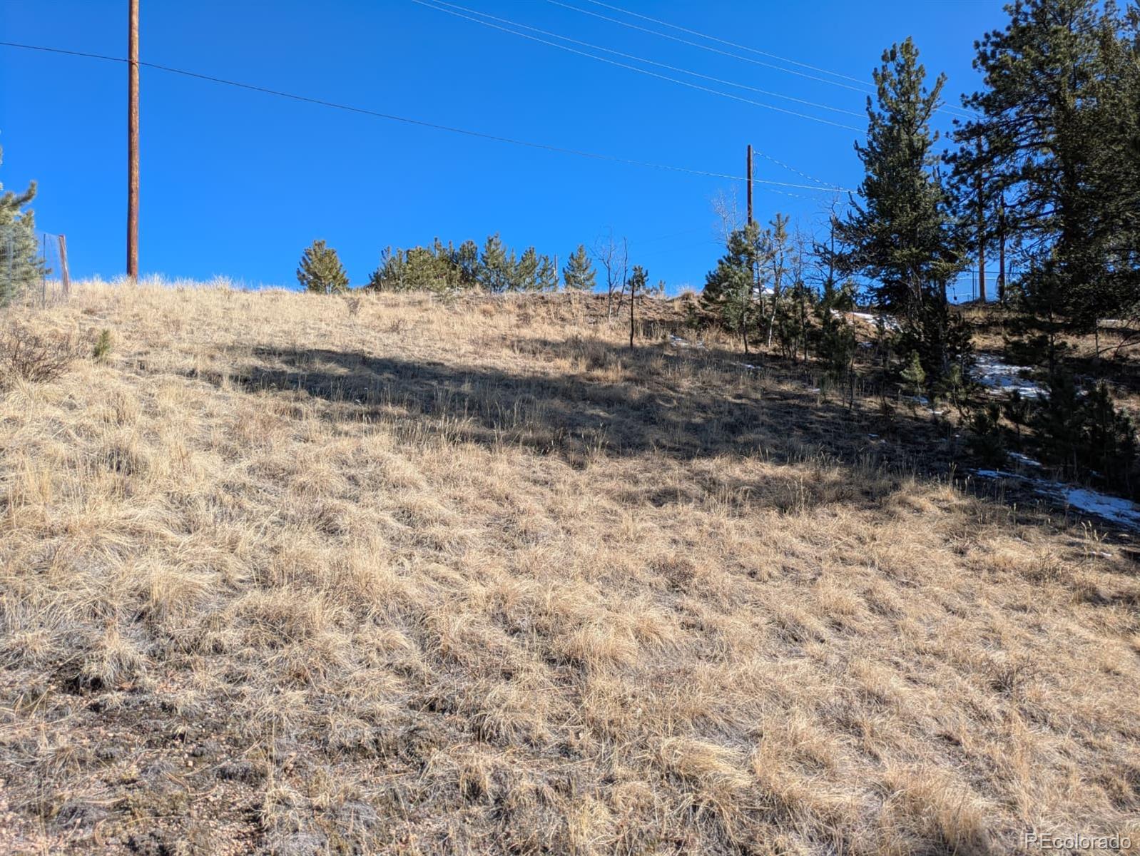 261 Appleby Street Bailey CO 80421