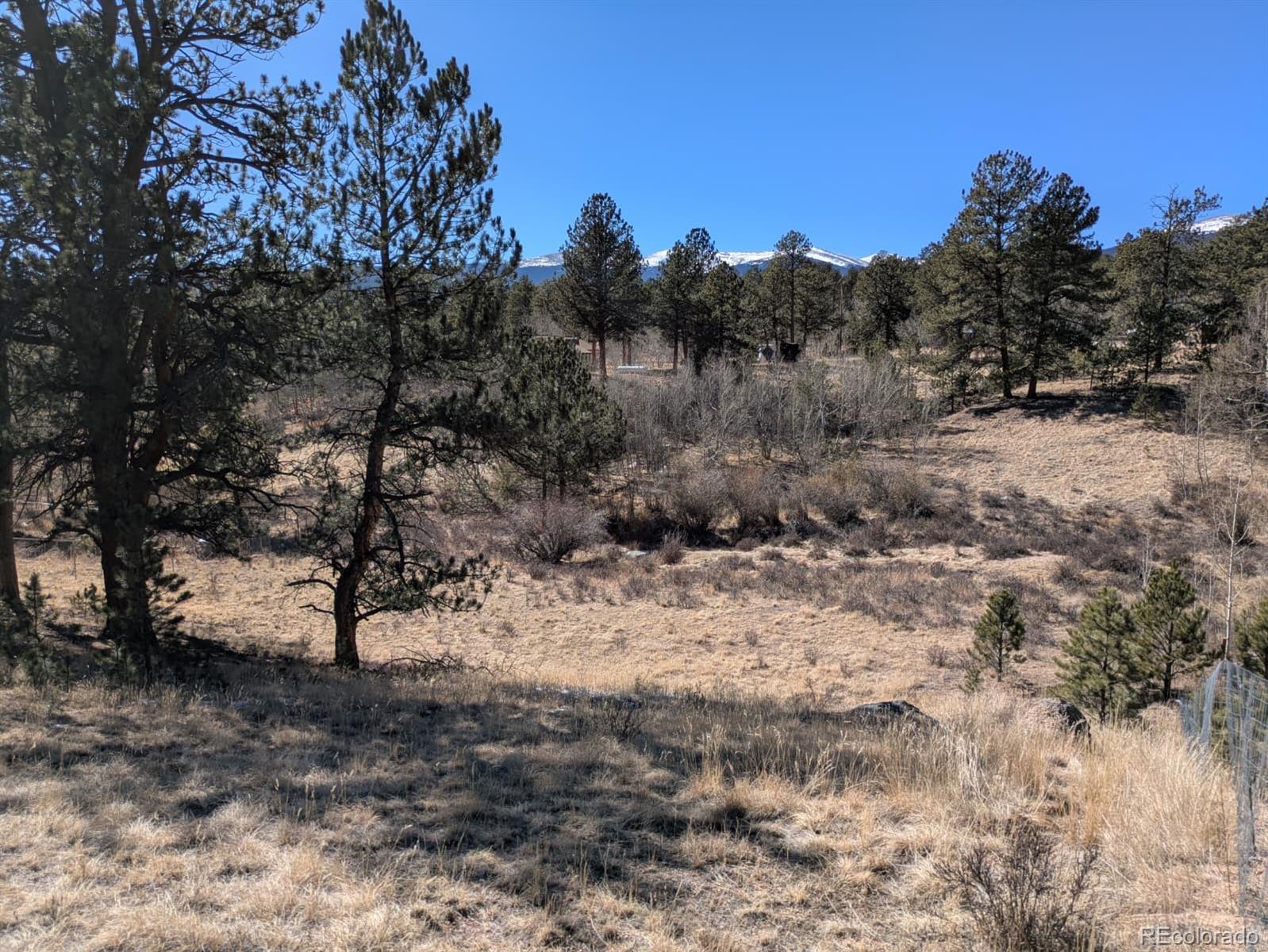261 Appleby Street Bailey CO 80421
