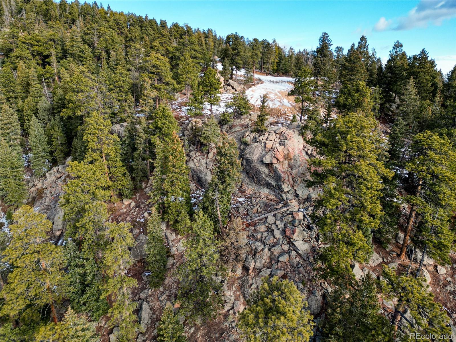 32764 Lodgepole Circle Evergreen CO 80439