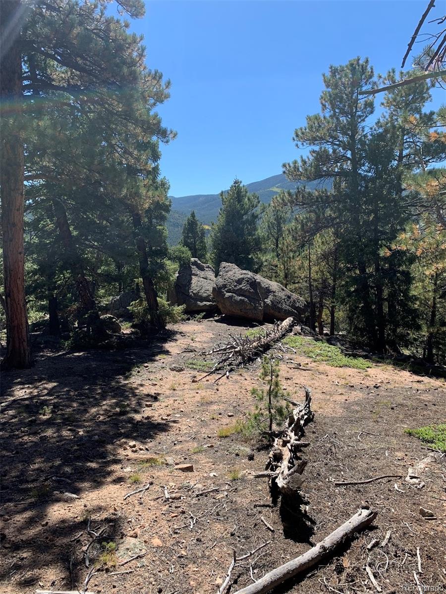 32764 Lodgepole Circle Evergreen CO 80439