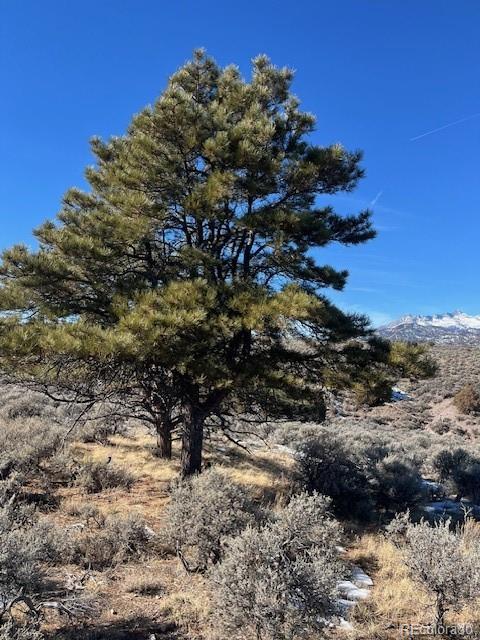 Lot 4875 Durante Road Fort Garland CO 81133