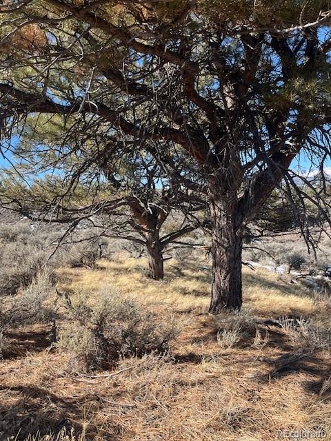 Lot 4875 Durante Road Fort Garland CO 81133
