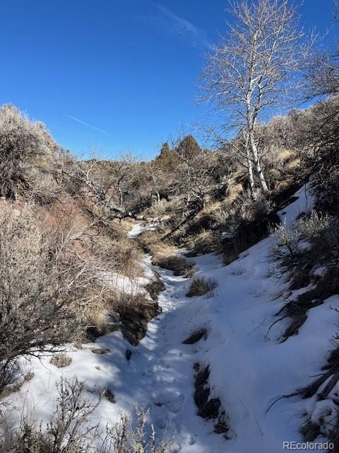 Lot 4875 Durante Road Fort Garland CO 81133