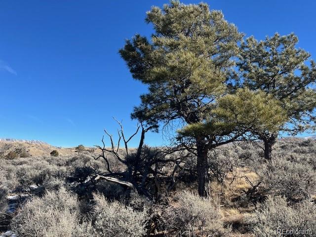 Lot 4875 Durante Road Fort Garland CO 81133