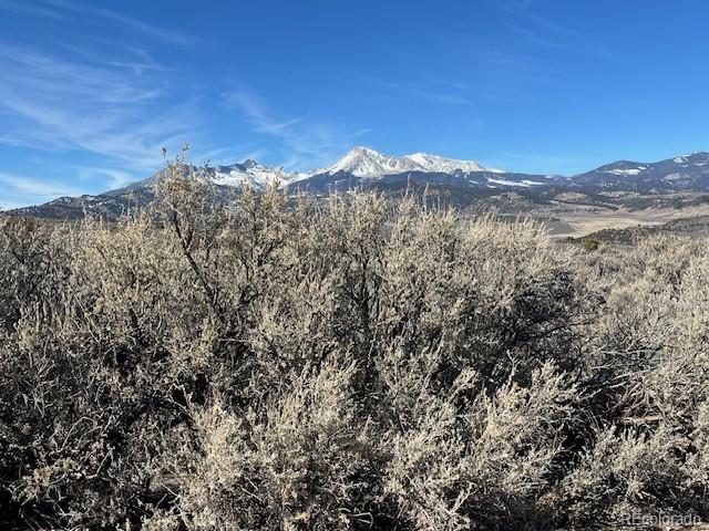 Lot 4875 Durante Road Fort Garland CO 81133