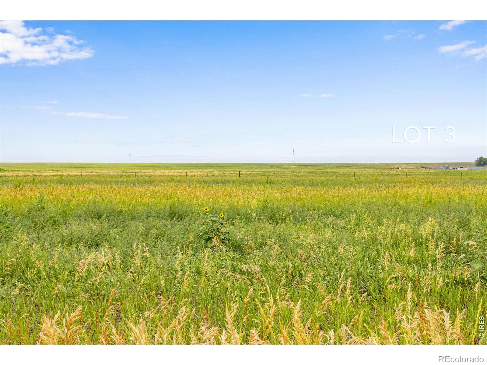 3 Tbd County Road 21 Carr CO 80612