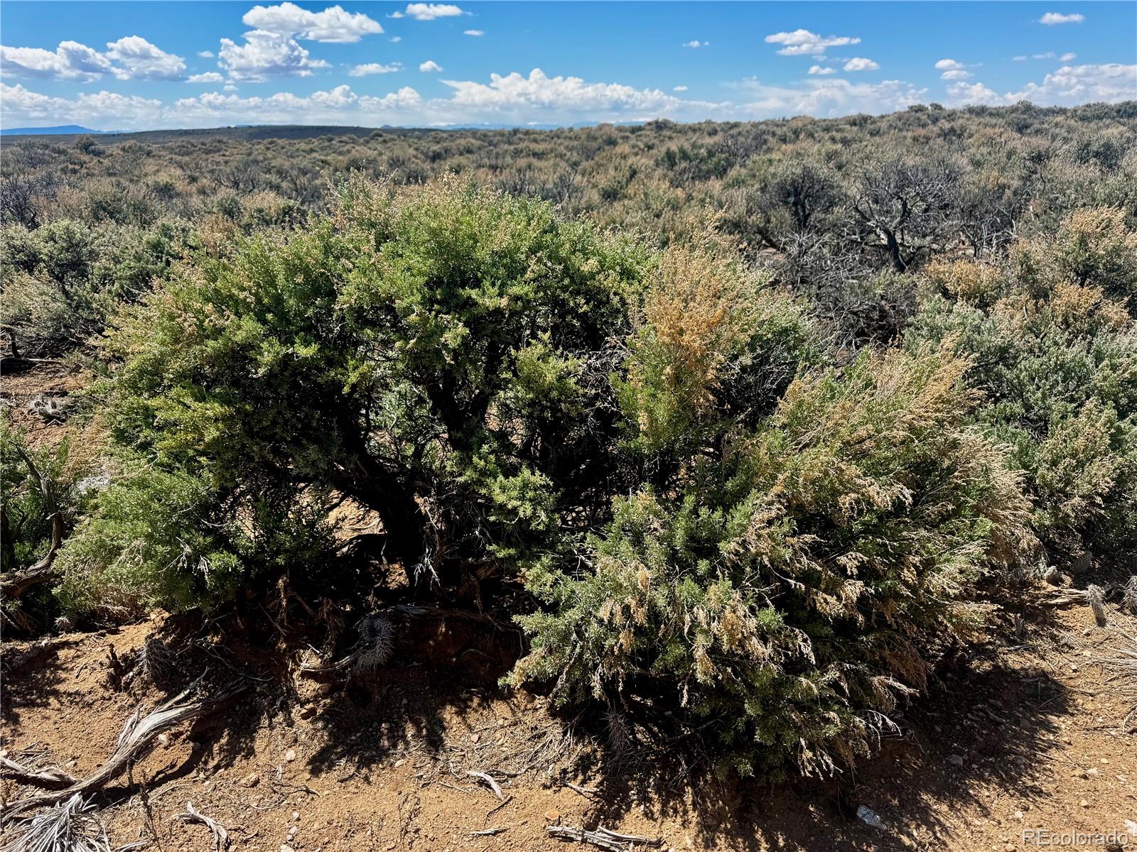 Lot 3 East Jasper Drive San Luis CO 81152