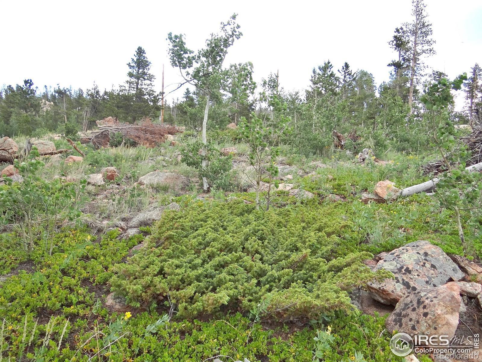 1601 Osage Trail Red Feather Lakes CO 80545