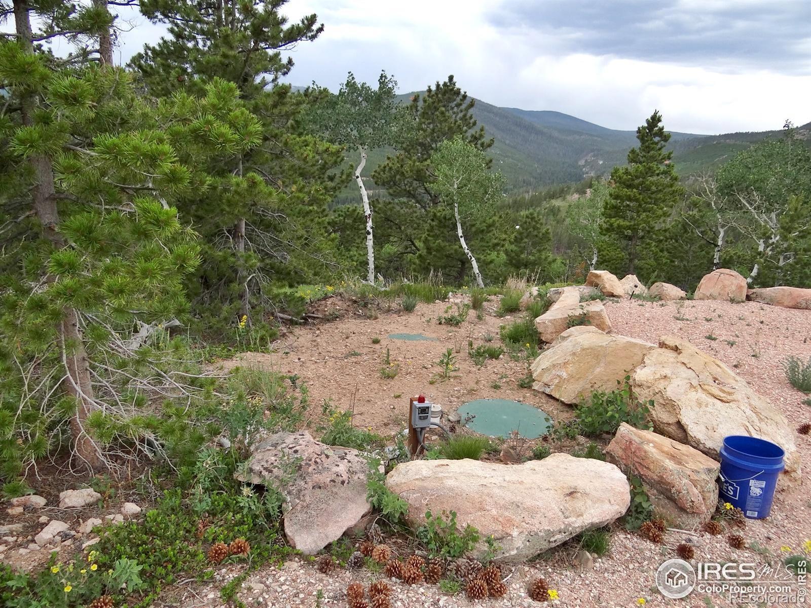 1601 Osage Trail Red Feather Lakes CO 80545