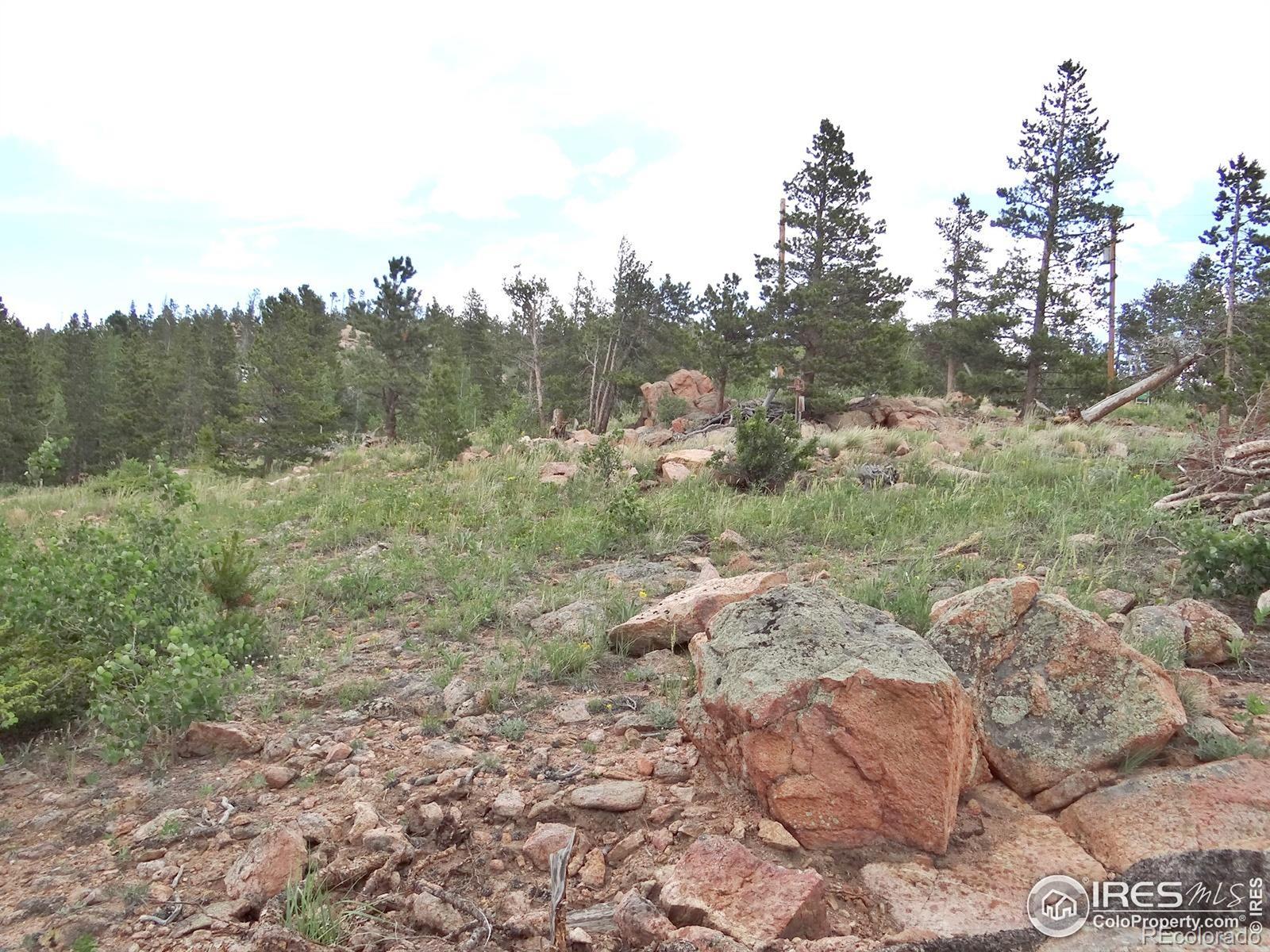 1601 Osage Trail Red Feather Lakes CO 80545