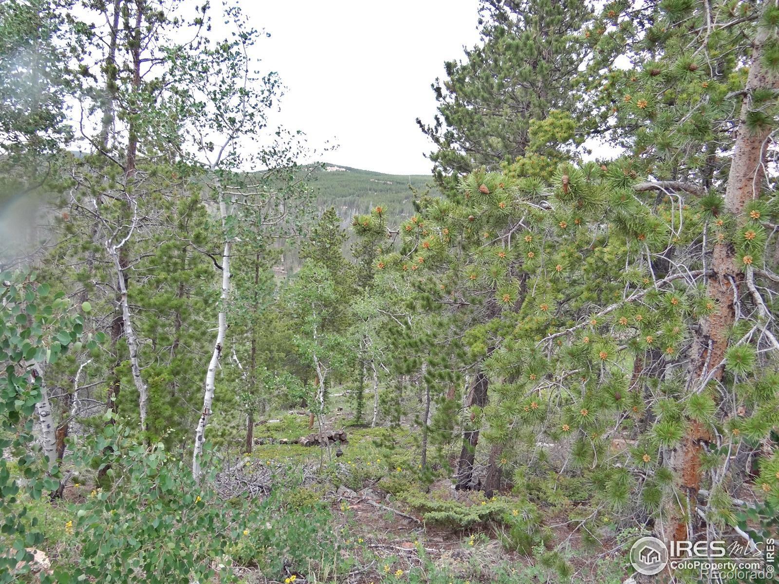 1601 Osage Trail Red Feather Lakes CO 80545