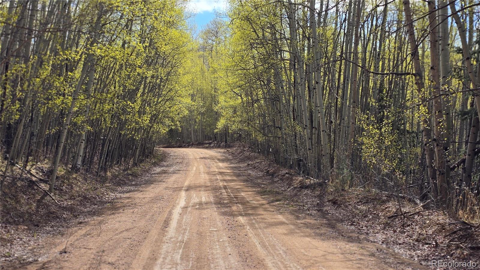 Lot 5902 Slegers Road Fort Garland CO 81133