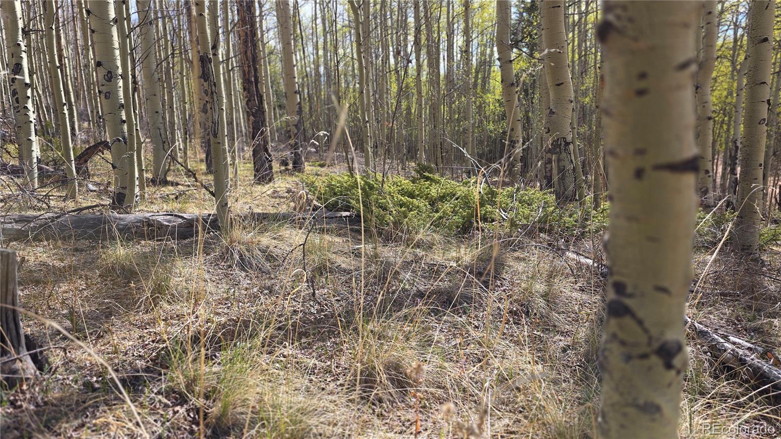 Lot 5902 Slegers Road Fort Garland CO 81133