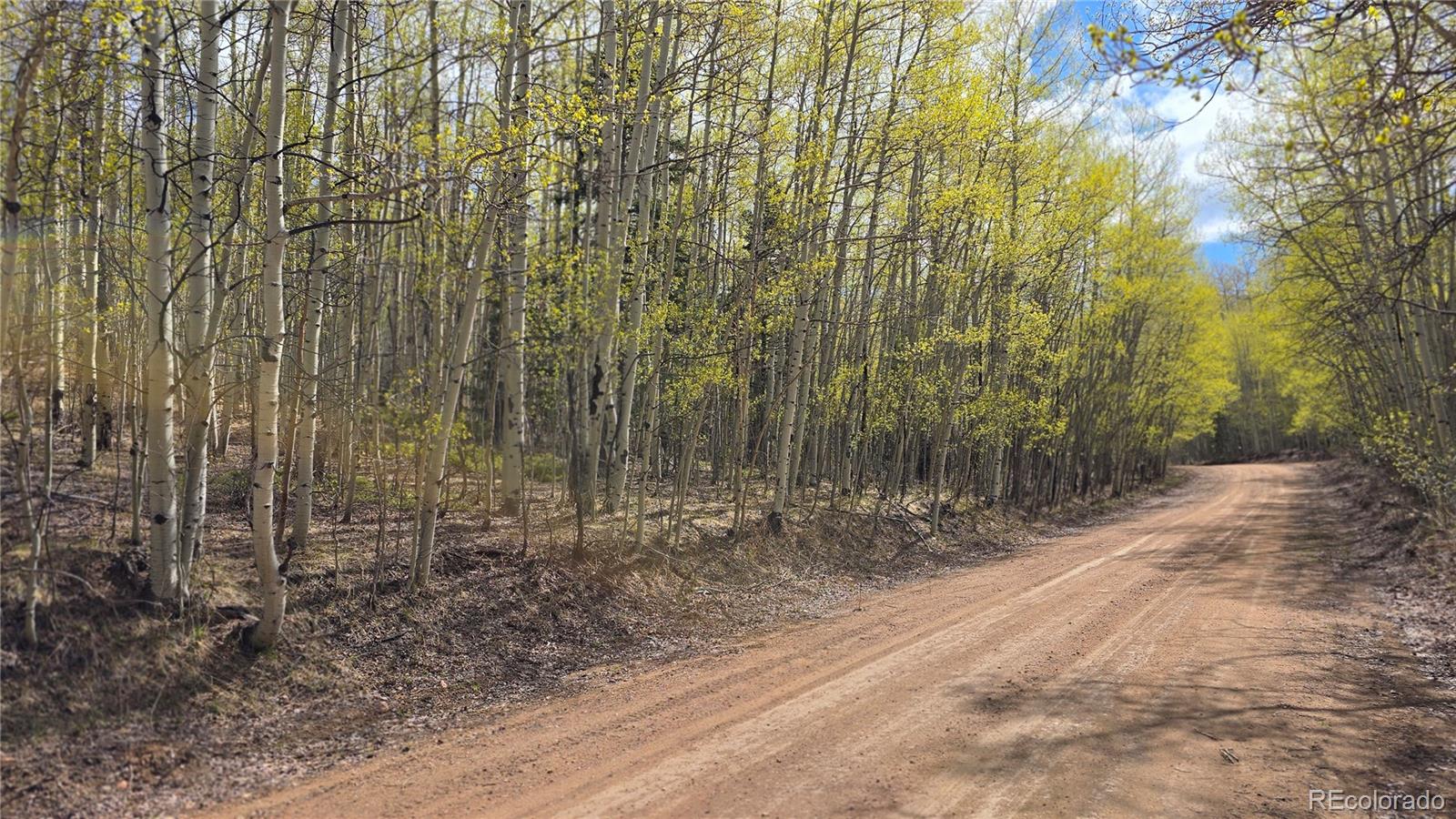 Lot 5902 Slegers Road Fort Garland CO 81133