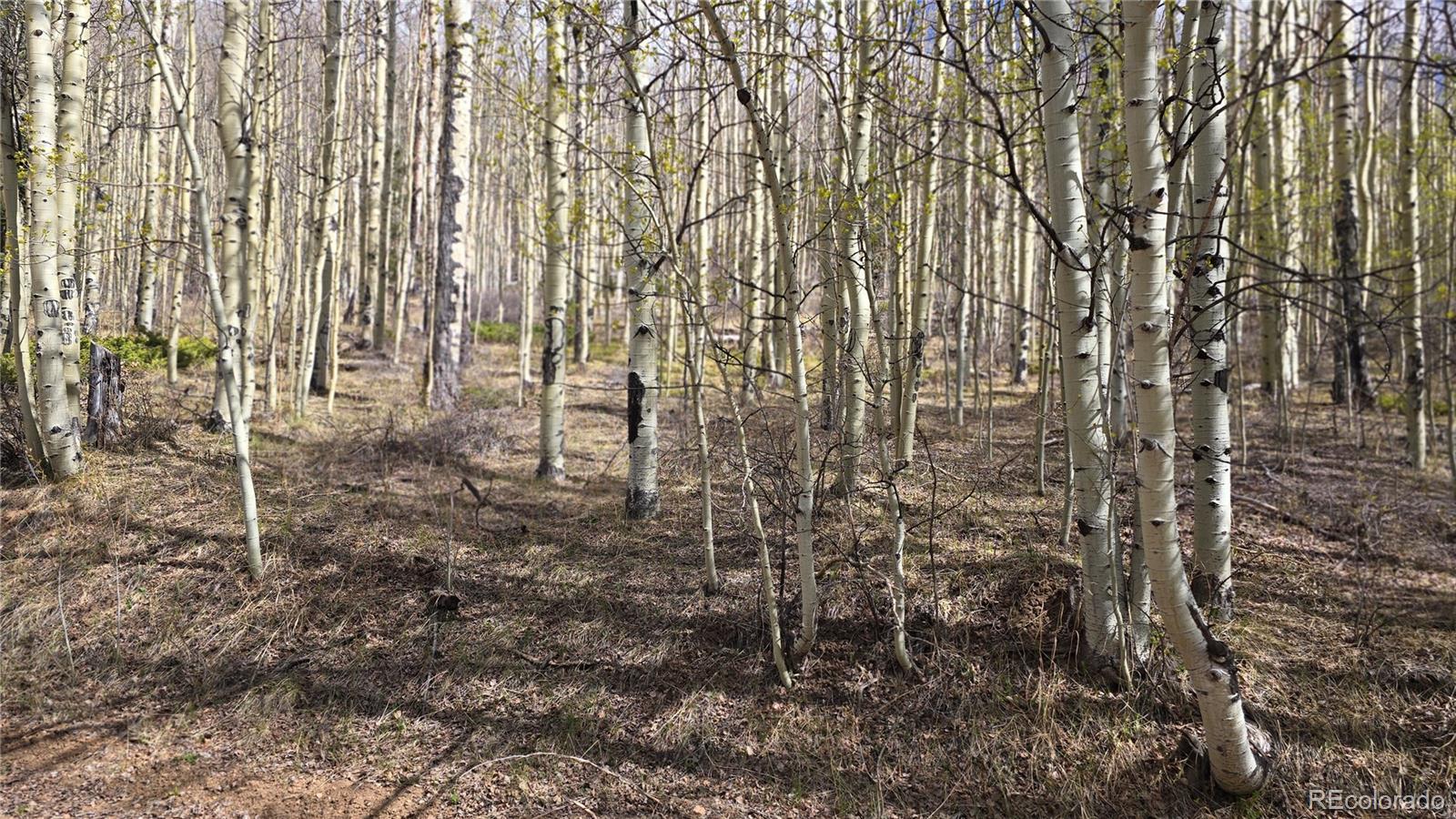 Lot 5902 Slegers Road Fort Garland CO 81133