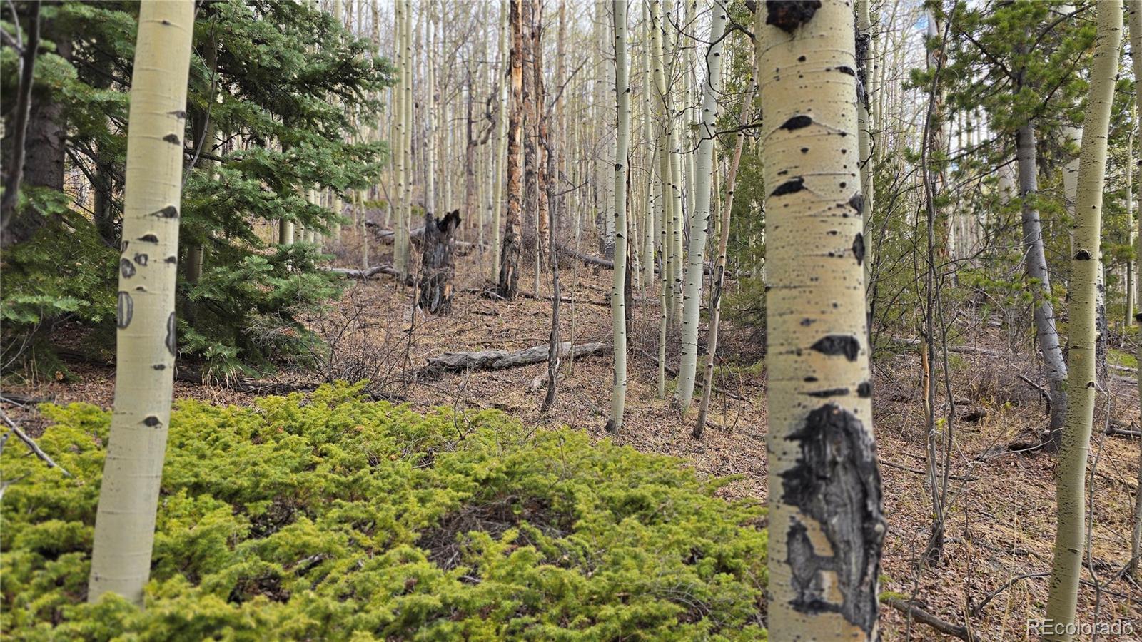 Lot 5902 Slegers Road Fort Garland CO 81133