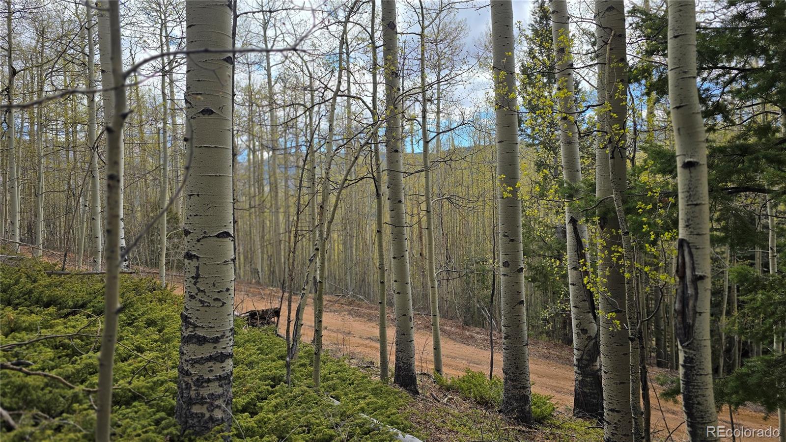 Lot 5902 Slegers Road Fort Garland CO 81133