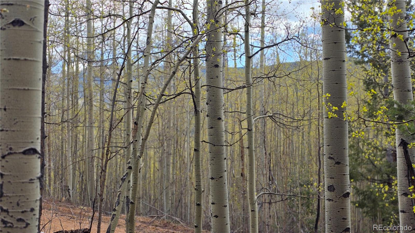 Lot 5902 Slegers Road Fort Garland CO 81133