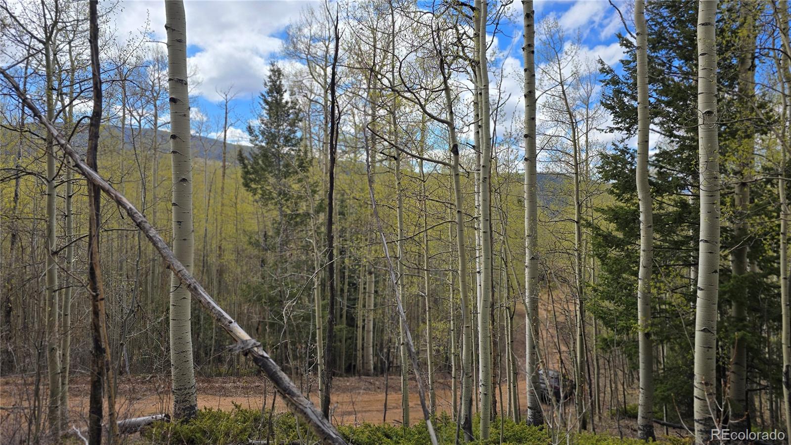 Lot 5902 Slegers Road Fort Garland CO 81133