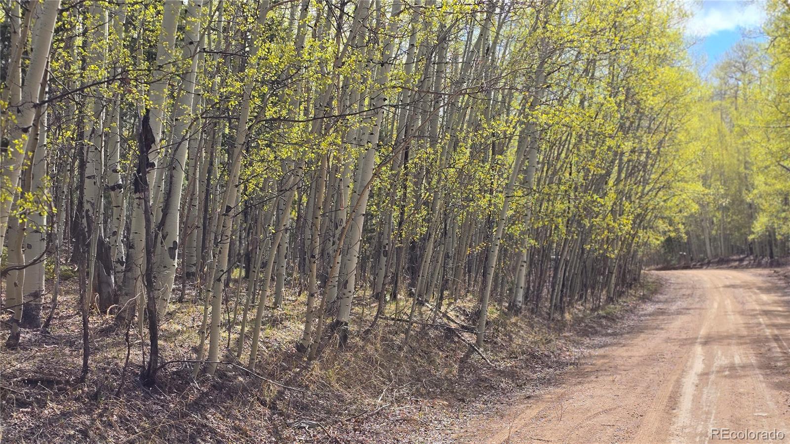 Lot 5902 Slegers Road Fort Garland CO 81133