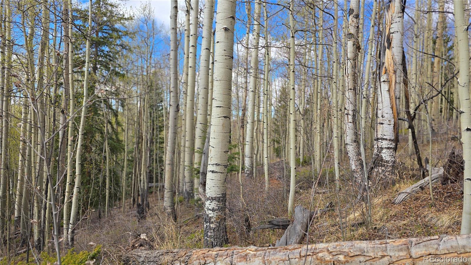 Lot 5902 Slegers Road Fort Garland CO 81133