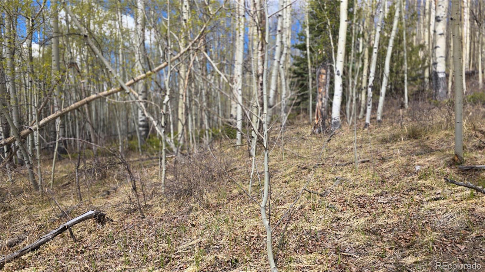 Lot 5902 Slegers Road Fort Garland CO 81133