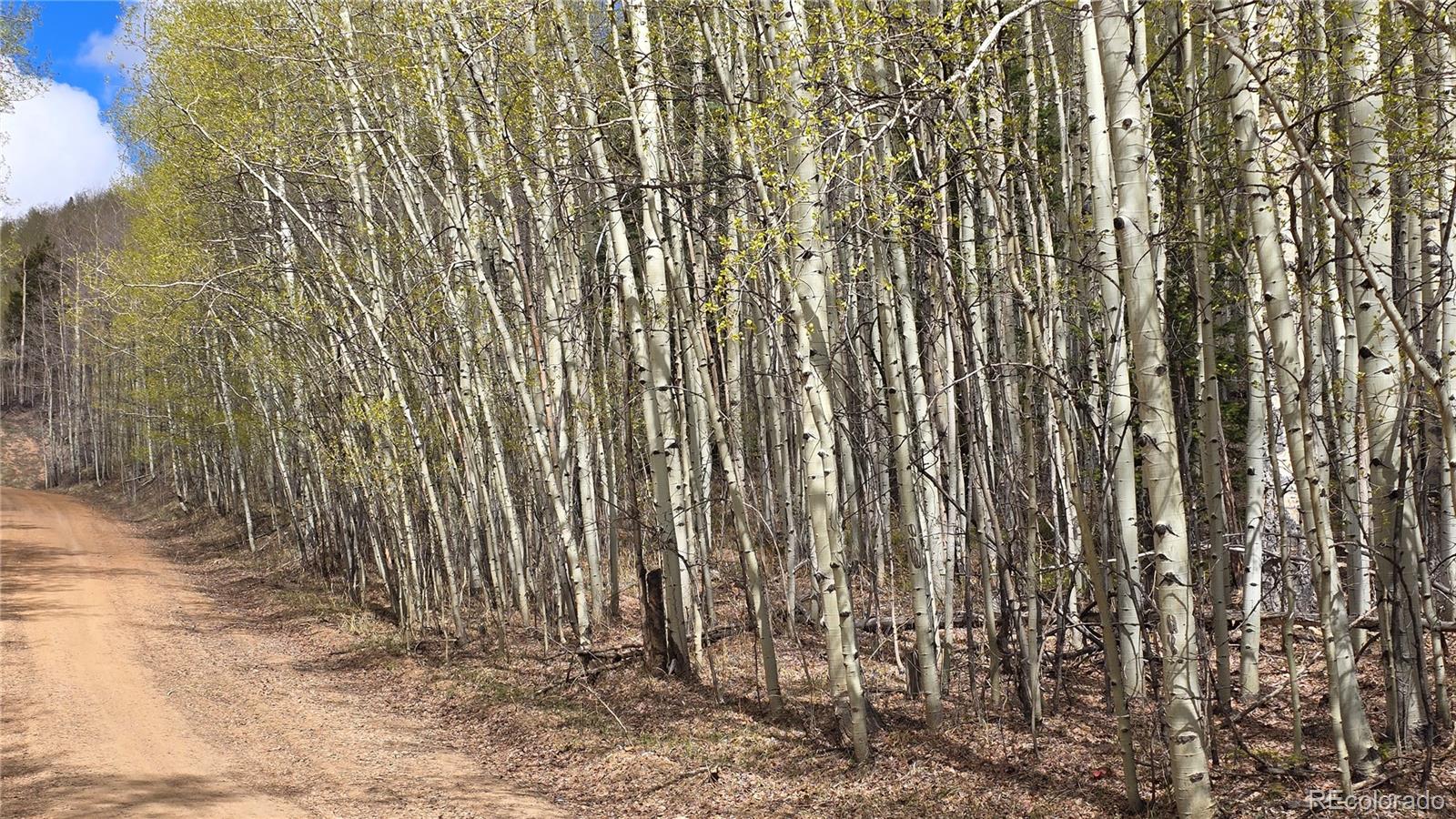 Lot 5902 Slegers Road Fort Garland CO 81133