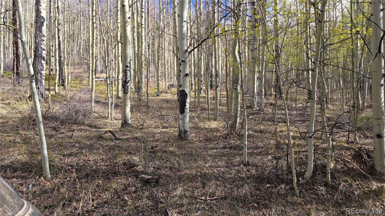 Lot 5902 Slegers Road Fort Garland CO 81133