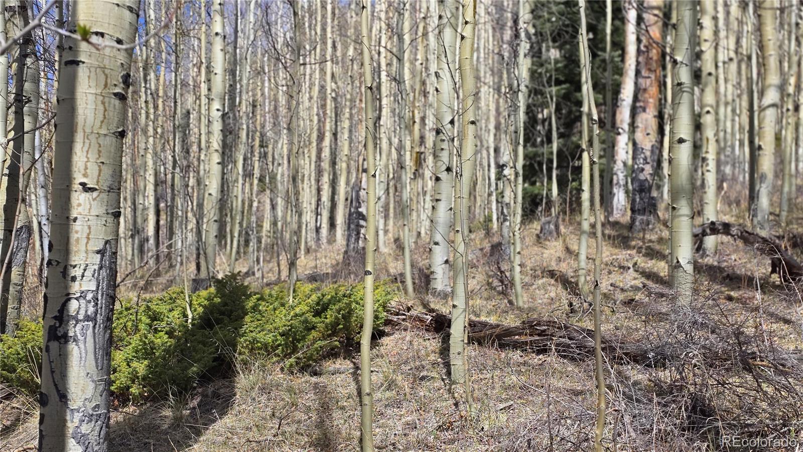 Lot 5902 Slegers Road Fort Garland CO 81133