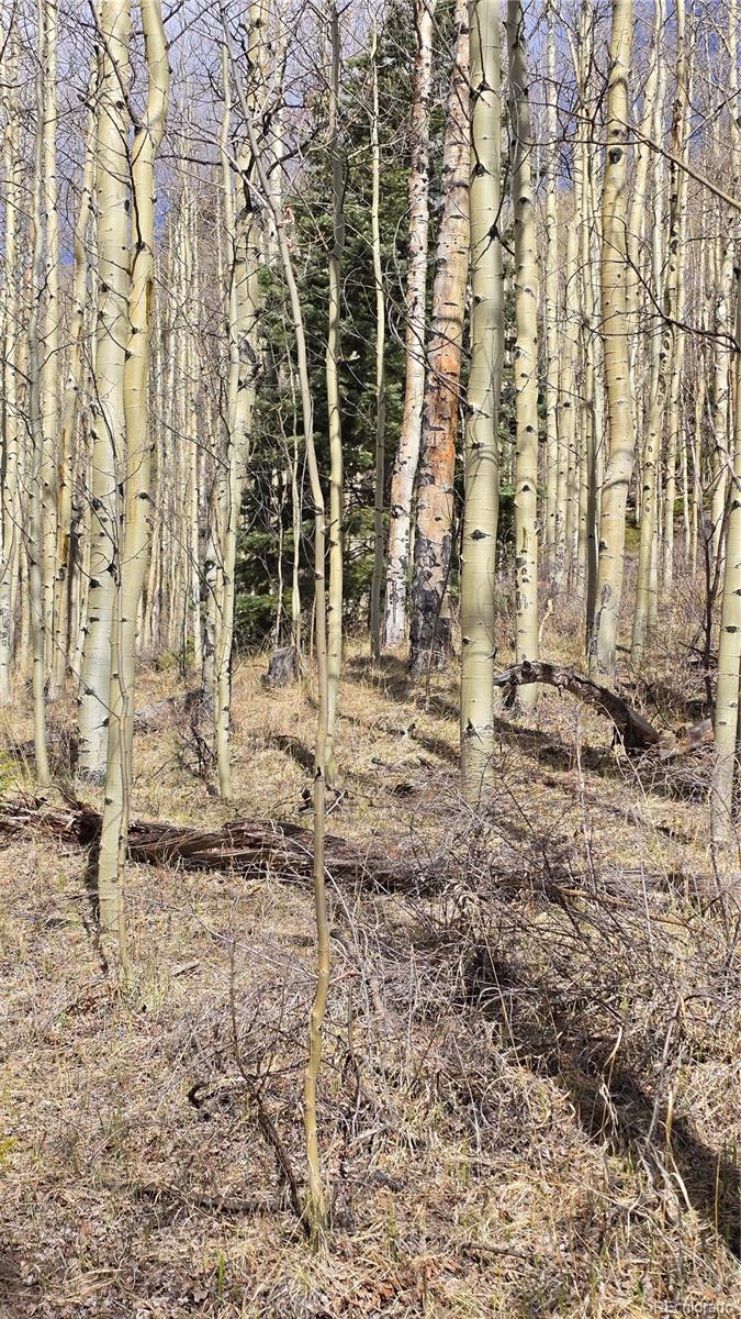 Lot 5902 Slegers Road Fort Garland CO 81133