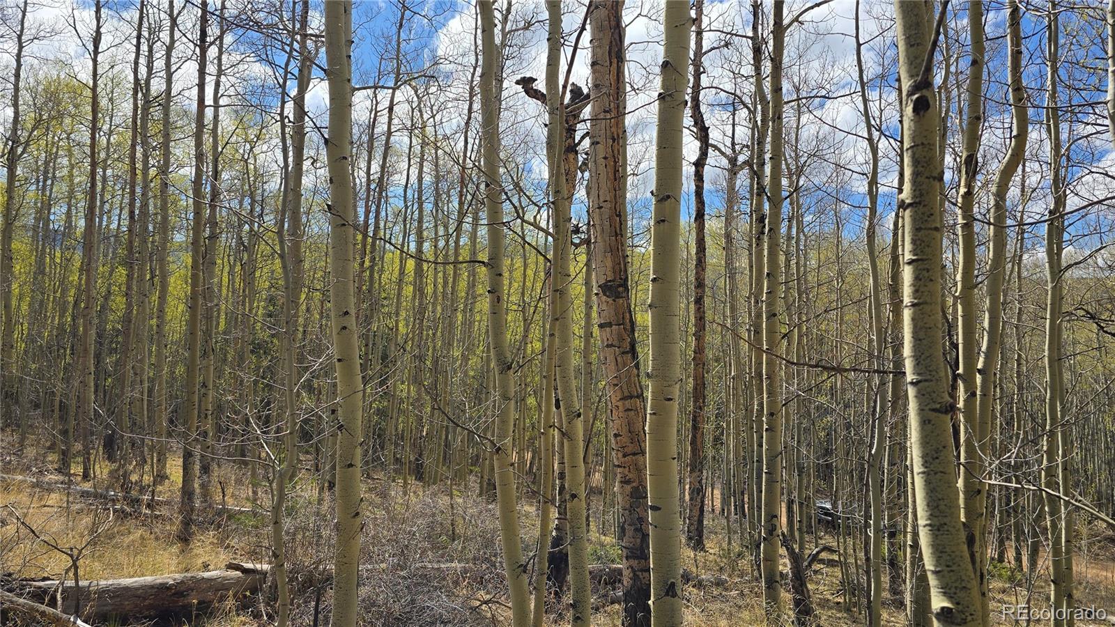 Lot 5902 Slegers Road Fort Garland CO 81133