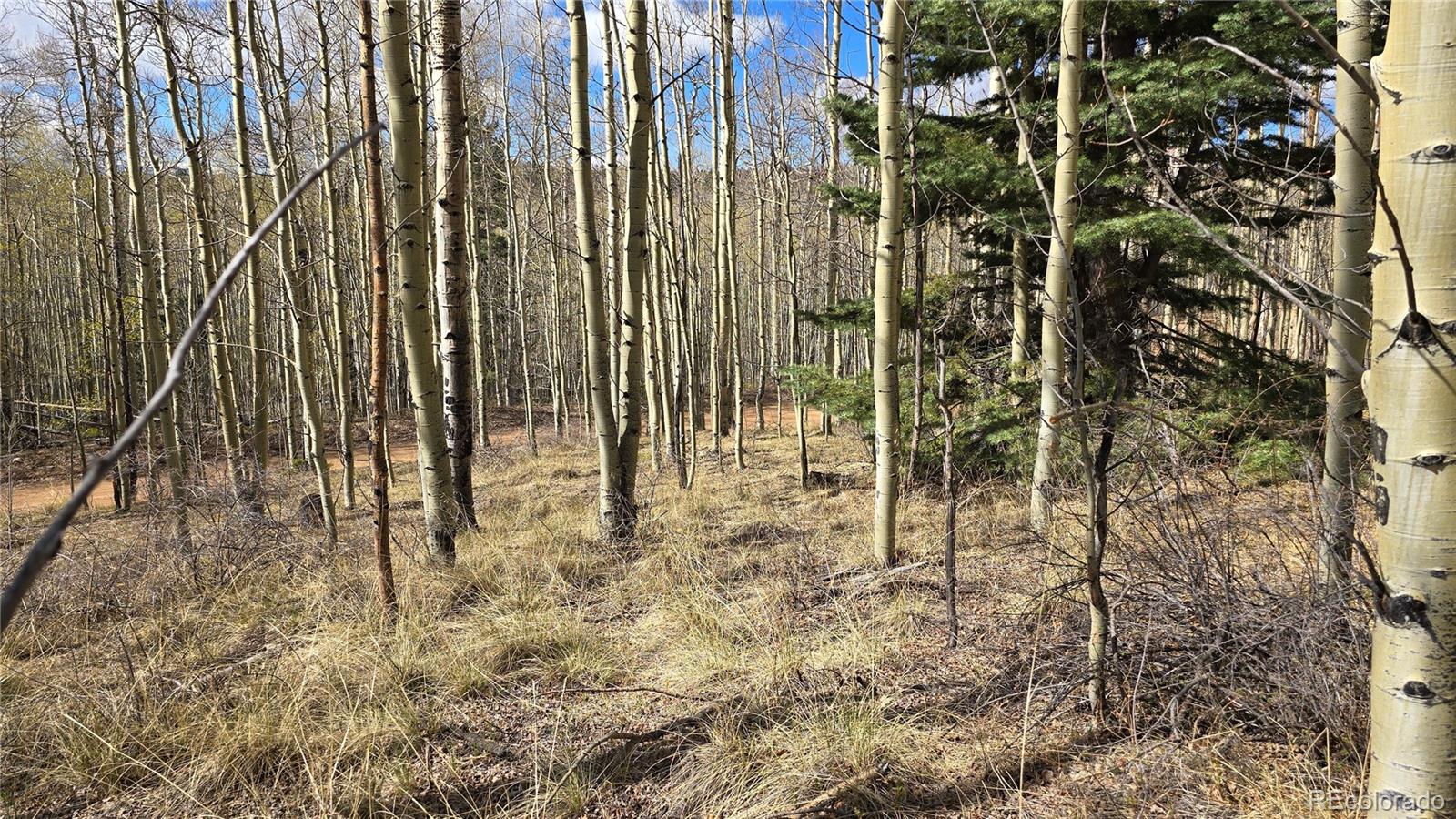 Lot 5902 Slegers Road Fort Garland CO 81133