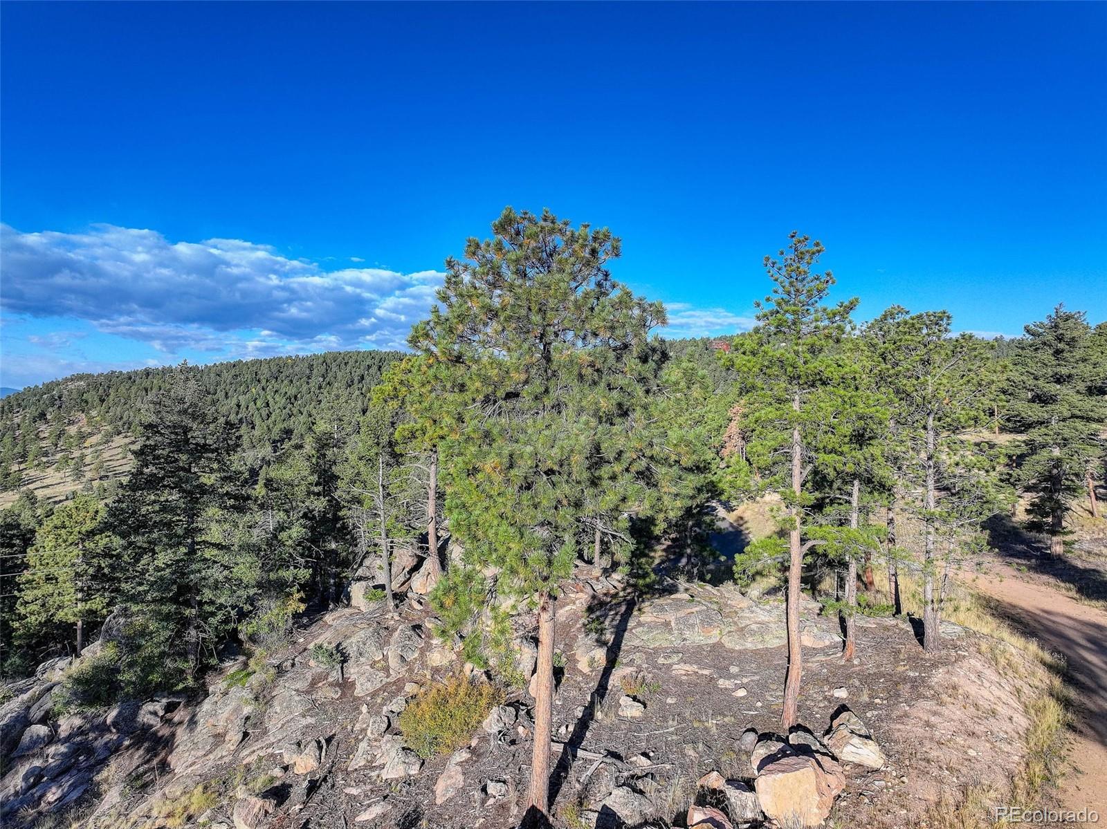 23047 Big Game Trail Conifer CO 80433