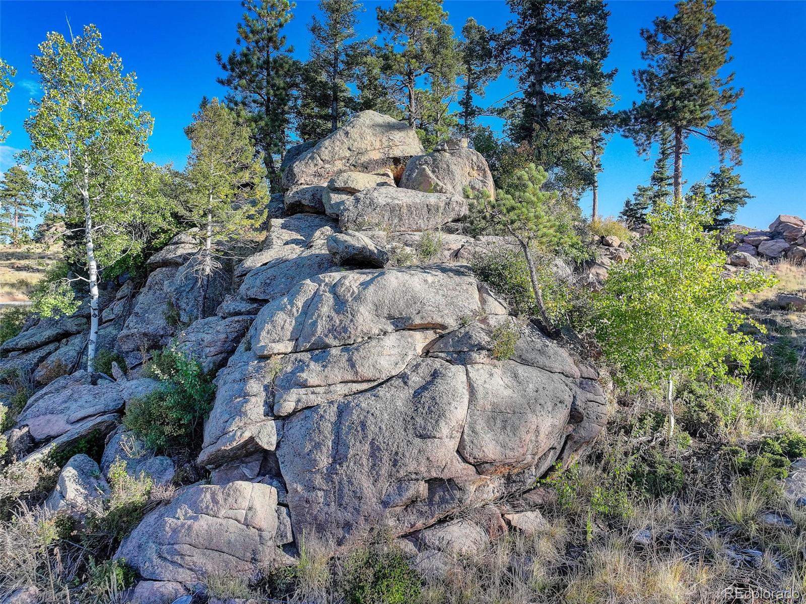 23047 Big Game Trail Conifer CO 80433