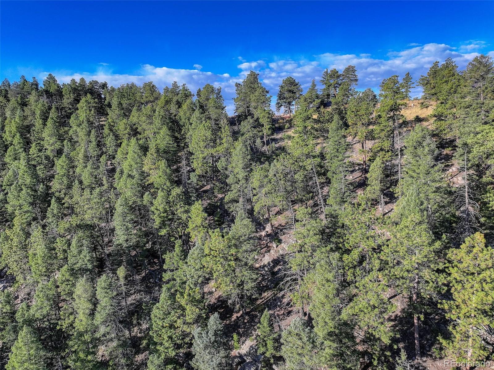 23047 Big Game Trail Conifer CO 80433