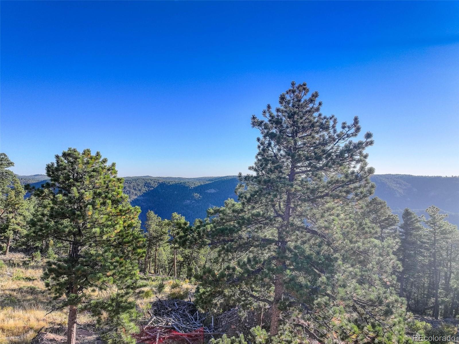 23047 Big Game Trail Conifer CO 80433