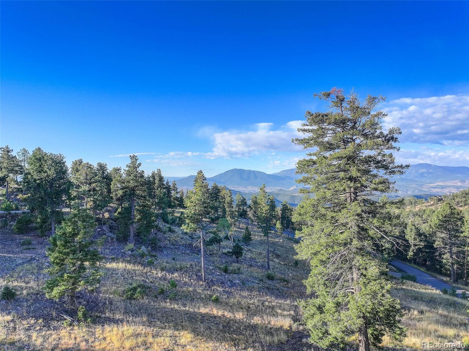 23047 Big Game Trail Conifer CO 80433