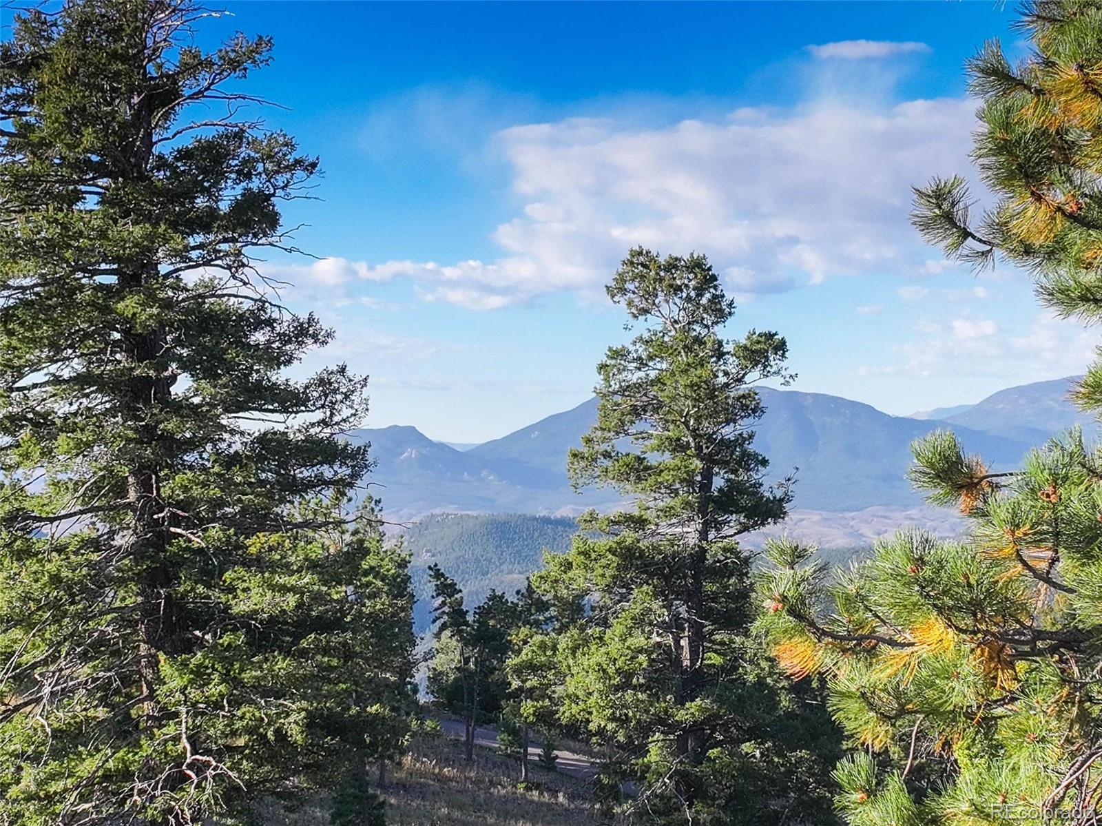 23047 Big Game Trail Conifer CO 80433