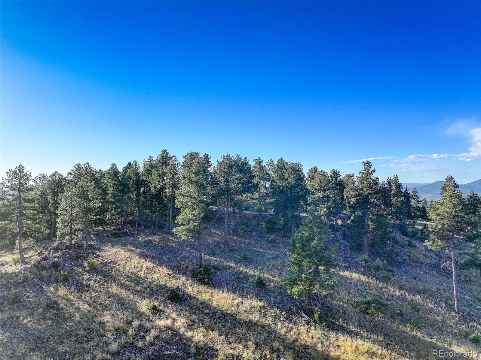 23047 Big Game Trail Conifer CO 80433