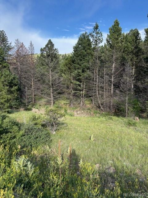 Sawmill Road Canon City CO 81212