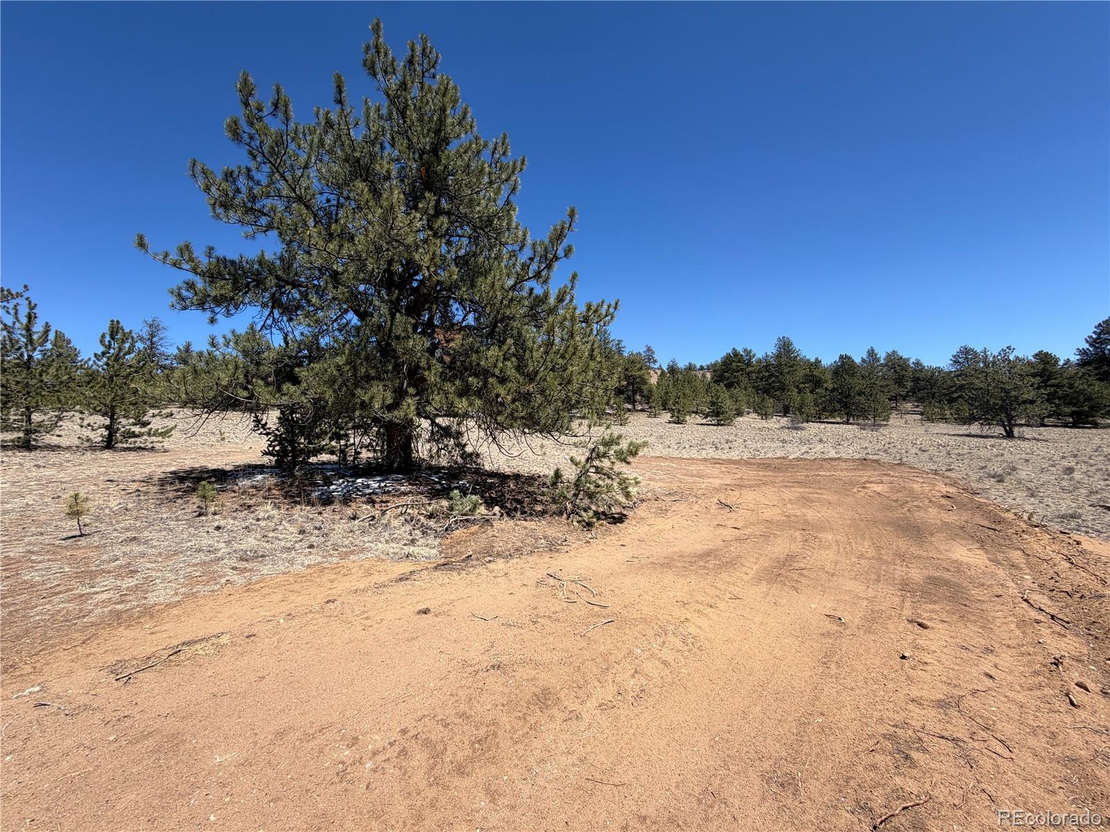204 Opal Drive Hartsel CO 80449
