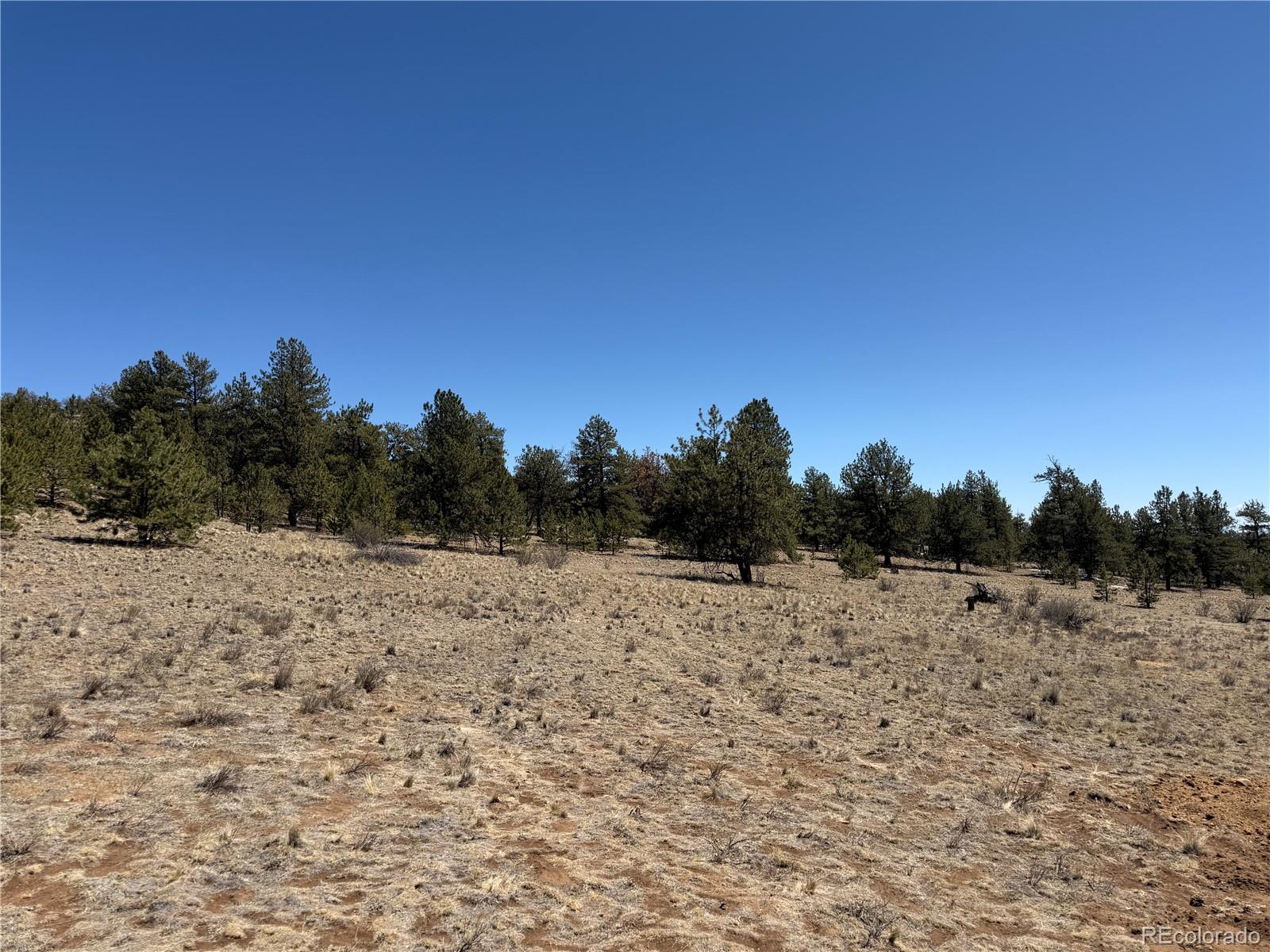 204 Opal Drive Hartsel CO 80449