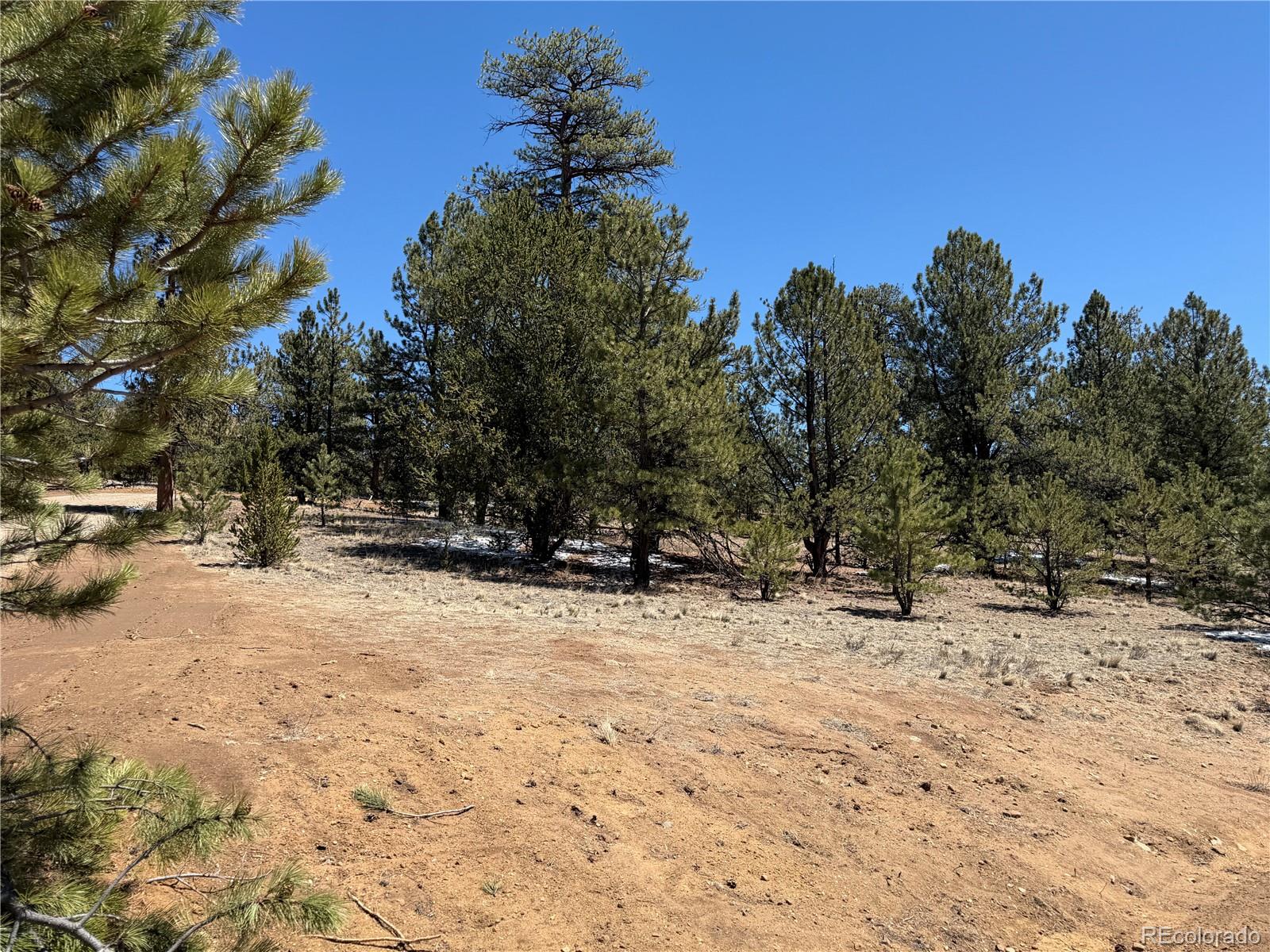 204 Opal Drive Hartsel CO 80449