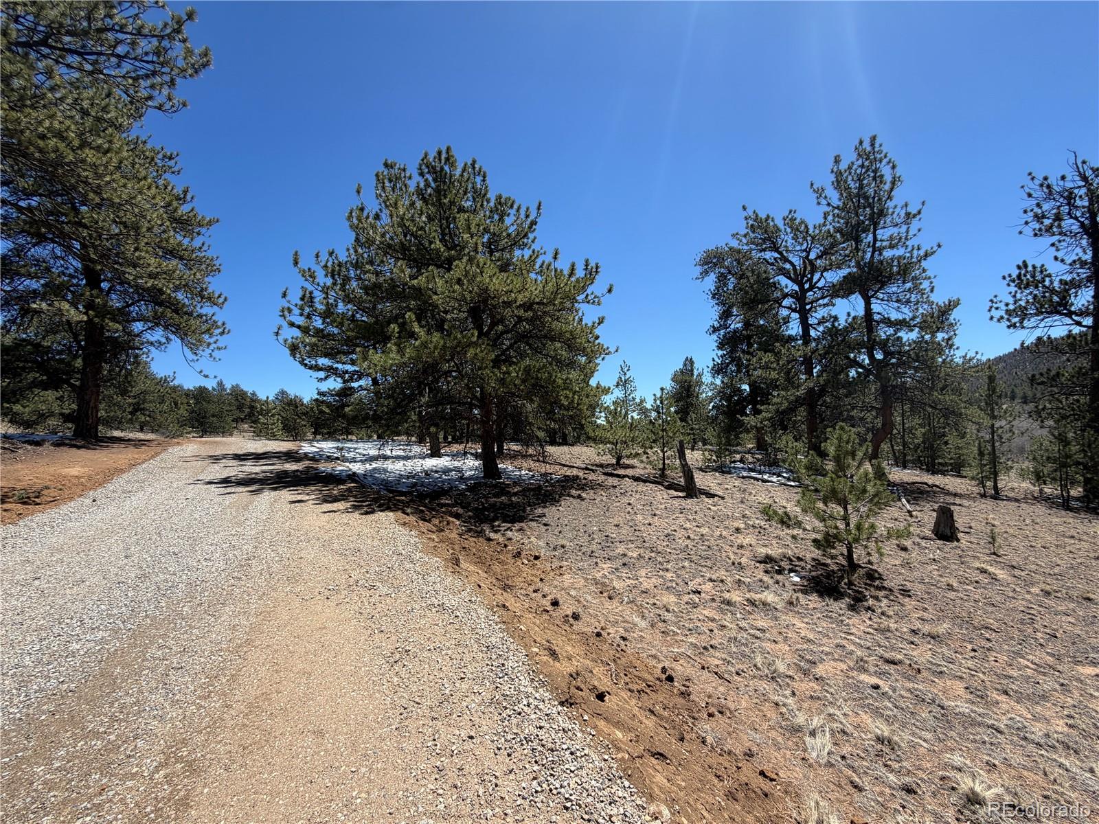 204 Opal Drive Hartsel CO 80449