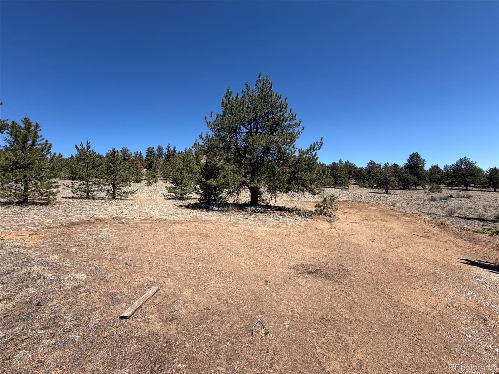 204 Opal Drive Hartsel CO 80449